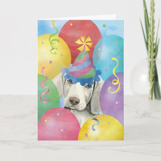 Birthday Balloons Weimaraner Card Karte (Vorderseite)