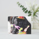 Birthday Bear Postkarte (Stehend Vorderseite)