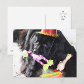 Birthday Bear Postkarte (Vorne/Hinten)