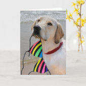 Birthday Bikini und Labrador Retriever Karte (Gelbe Blume)