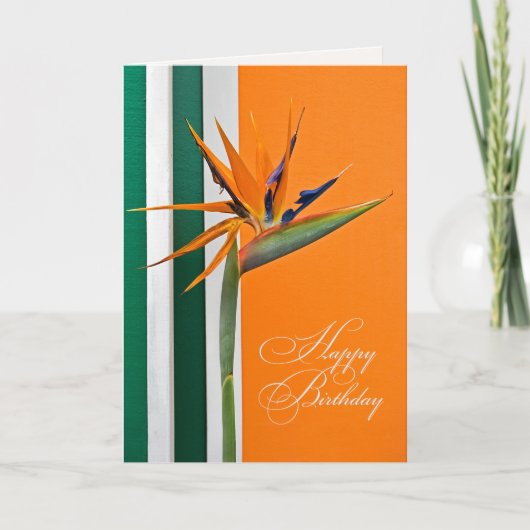 Birthday Bird of Paradise Karte (Vorderseite)