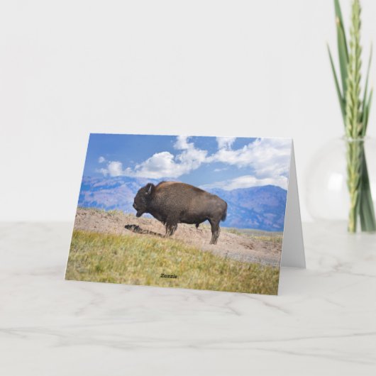Birthday Bison Wallowing Yellowstone National Park Karte (Rückseite)