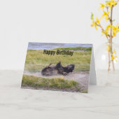 Birthday Bison Wallowing Yellowstone National Park Karte (Gelbe Blume)