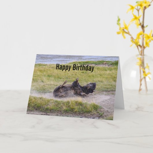 Birthday Bison Wallowing Yellowstone National Park Karte (Gelbe Blume)