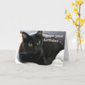 Birthday Black Cat Karte (Gelbe Blume)
