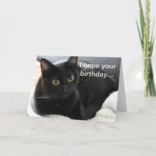 Birthday Black Cat Karte (Vorderseite)