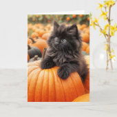 Birthday Black Kitten auf Orange Pumpkin Karte (Gelbe Blume)