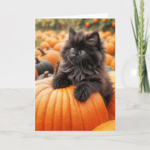 Birthday Black Kitten auf Orange Pumpkin Karte