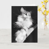 Birthday Bliss Card Karte (Gelbe Blume)