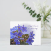 Birthday Blue African Violets Postkarte (Stehend Vorderseite)