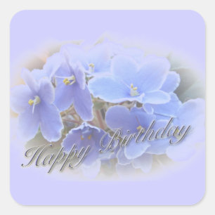 Birthday Blue African Violets Quadratischer Aufkleber