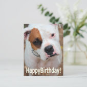 Birthday Boop Card Postkarte (Stehend Vorderseite)