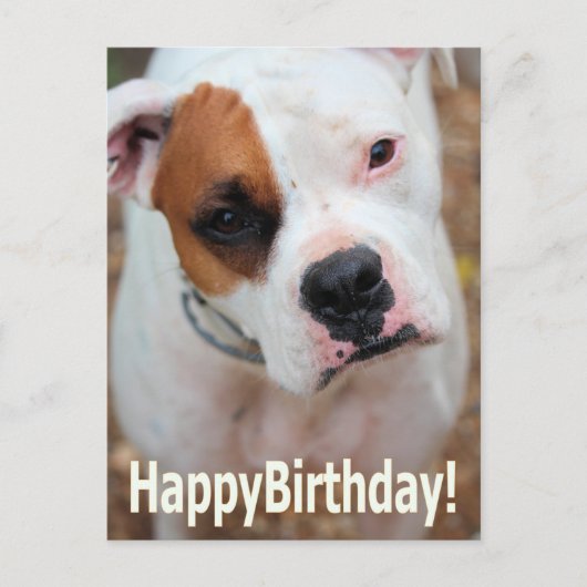 Birthday Boop Card Postkarte (Vorderseite)