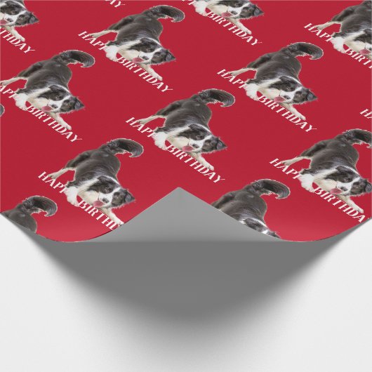 Birthday Border Collie auf Red Geschenkpapier (Ecke)