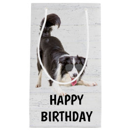 Birthday Border Collie mit Sonnenbrille Kleine Geschenktüte