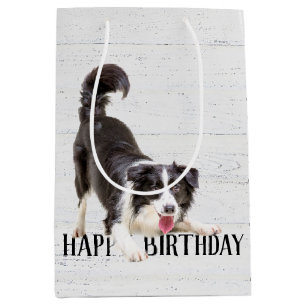Birthday Border Collie on Wood Mittlere Geschenktüte