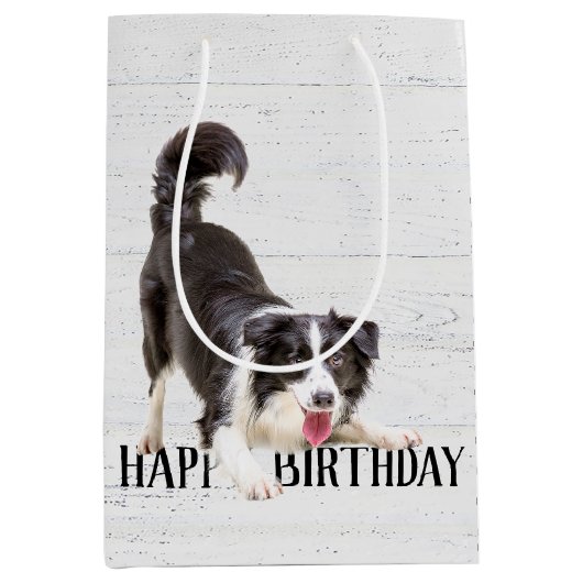 Birthday Border Collie on Wood Mittlere Geschenktüte (Vorderseite)