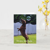 Birthday Bubble Dog Karte (Gelbe Blume)