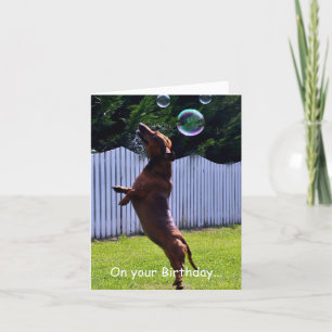 Birthday Bubble Dog Karte