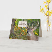 Birthday Buck in Woods Karte (Gelbe Blume)