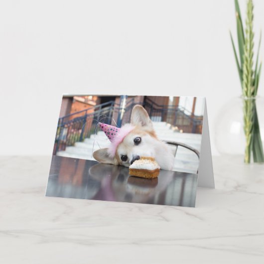 Birthday Cake Corgi Karte (Vorderseite)