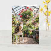 Birthday Calico Cat on a Greenhouse Stool Karte (Gelbe Blume)