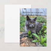 birthday card (Vorne/Hinten)