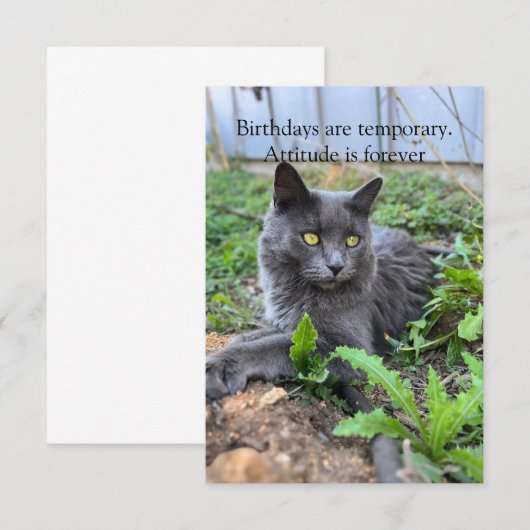 birthday card (Vorne/Hinten)