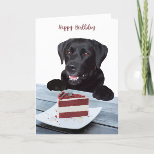 Birthday Card Black Lab - Geburtskarte des Hundes Karte