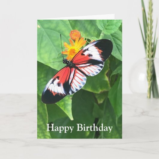 Birthday Card Butterfly with Kafka Quote Karte (Vorderseite)