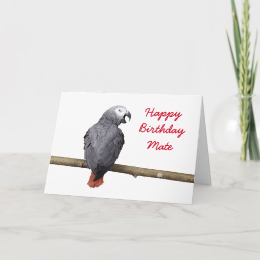 Birthday card Congo African Grey Gray parrot Karte (Vorderseite)