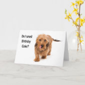 birthday card Dachshund dog smelling birthday cake Karte (Gelbe Blume)