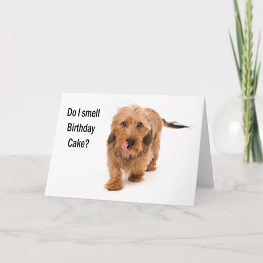 birthday card Dachshund dog smelling birthday cake Karte (Vorderseite)