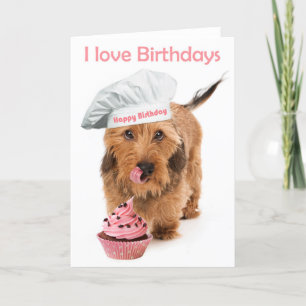 Birthday card Dachshund dog with toque Karte