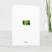 Birthday Card Dinosaur Karte (Rückseite)