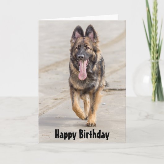 Birthday Card German Shepherd Dog Alsatian Karte (Vorderseite)
