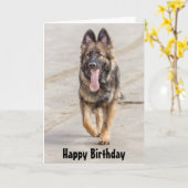 Birthday Card German Shepherd Dog Alsatian Karte (Gelbe Blume)