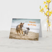 Birthday Card German Shepherd Dog Cockerspaniel Karte (Gelbe Blume)