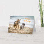 Birthday Card German Shepherd Dog Cockerspaniel Karte<br><div class="desc">Happy Birthday card featuring a photograph of a German Shepherd Dog Alsatian and a Cockerspaniel running happily along a beach together playing.  They are best friends having fun together playing with their ball.</div>