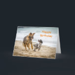 Birthday Card German Shepherd Dog Cockerspaniel Karte<br><div class="desc">Happy Birthday card featuring a photograph of a German Shepherd Dog Alsatian and a Cockerspaniel running happily along a beach together playing.  They are best friends having fun together playing with their ball.</div>