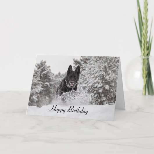 Birthday Card German Shepherd Dog in snow Karte (Vorderseite)