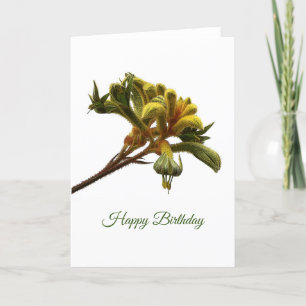 Birthday Card - Kangaroo Paw Karte