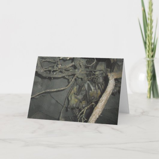 Birthday Card Karte (Vorderseite)