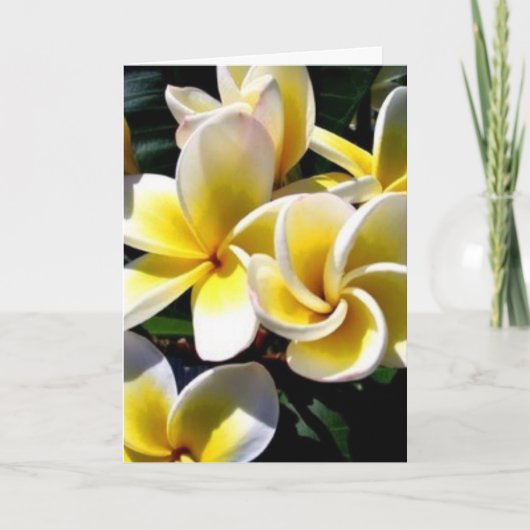 birthday card karte (Vorderseite)