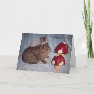BIRTHDAY CARD KARTE