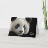 Birthday Card Panda Karte (Vorderseite)