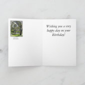 Birthday Card - River Torrens South Australia Karte (Innenseite)