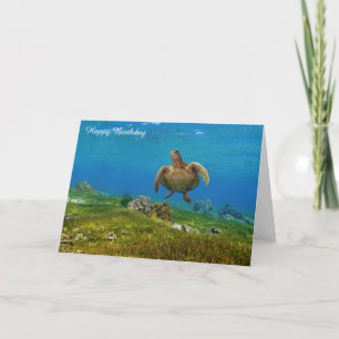 Birthday Card Sea Turtle Karte
