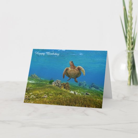 Birthday Card Sea Turtle Karte (Vorderseite)