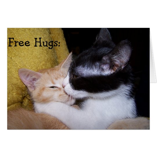 Birthday Card: Sweet Kittens give free Hugs! Karte